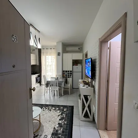 Buni Shëngjin
